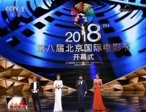 北京国际电影节,光影盛宴，聚焦全球电影艺术