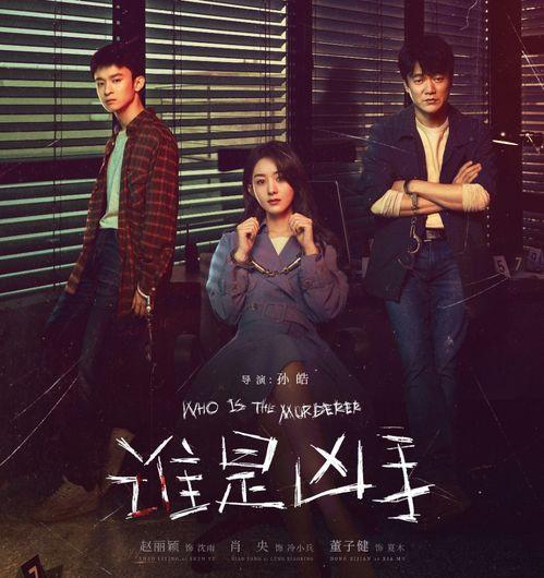 谁是凶手电影,悬疑迷雾中的真相探寻